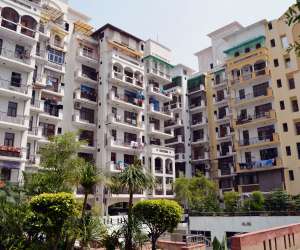 3 BHK  2100 Sqft Apartment for sale in  Amrapali Exotica in Sector 50