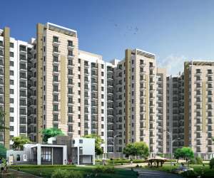 3 BHK  1300 Sqft Apartment for sale in  Avalon Rangoli Dharuhera in Sector 24