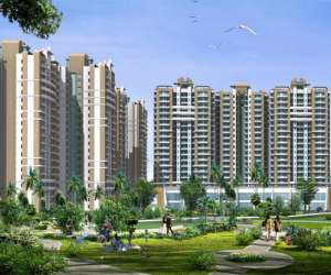 3 BHK  1705 Sqft Apartment for sale in  Exotica Dream Ville in Sector 16 C