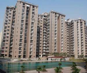 3 BHK  1325 Sqft Apartment for sale in  Amrapali Zodiac in Sector 120