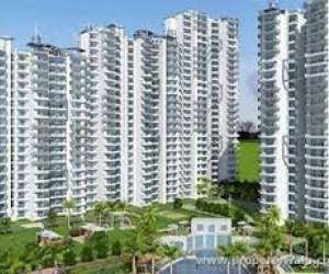 1 BHK  672 Sqft Apartment for sale in  Wave City Center Livork in Sector 32