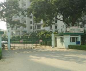 1 BHK  770 Sqft Apartment for sale in  Ansal API Celebrity Suites in Palam Vihar