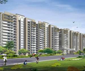 2 BHK  980 Sqft Apartment for sale in  Dwarkadhish Casa Romana in Sector 22 Dharuhera