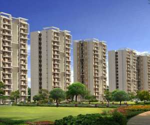 3 BHK  2525 Sqft Apartment for sale in  Cosmic The Urban Young in Yamuna Expressway