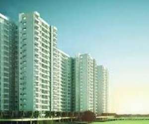 1 BHK  450 Sqft Apartment for sale in  Dream City in NH 91