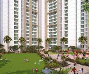 1 BHK  350 Sqft Apartment for sale in  Runwal My City in Dombivli East