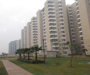 4 BHK  2435 Sqft Apartment for sale in  Omaxe Palm Greens in MU Greater Noida