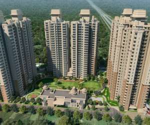 2 BHK  982 Sqft Apartment for sale in  CRC Sublimis in Sector 1