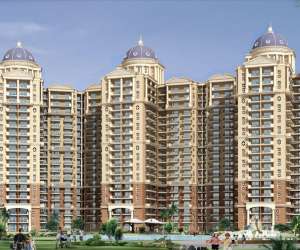 3 BHK  1520 Sqft Apartment for sale in  Ambika Florence Park in Mullanpur