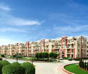 3 BHK  1330 Sqft Apartment for sale in  Eldeco Green Meadows in Sector Pi