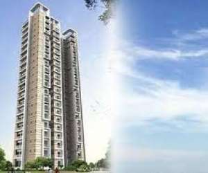 1 BHK  450 Sqft Apartment for sale in  Paras Tierea in Sector 137
