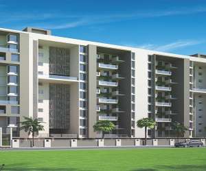 1 BHK  317 Sqft Apartment for sale in  Maple Feel Bliss Phase I in Bavdhan