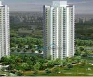 2 BHK  987 Sqft Apartment for sale in  DPL Flora Heritage in Noida Extension