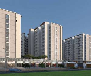 1 BHK  265 Sqft Apartment for sale in  Excellaa Panama Park in Lohegaon