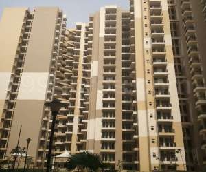 2 BHK  920 Sqft Apartment for sale in  Exotica Dreamville in Noida Extension