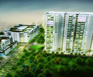 3 BHK  1460 Sqft Apartment for sale in  Green Eutopia in BTM Layout