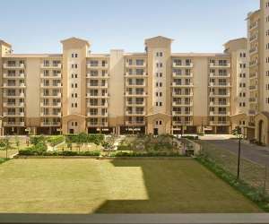 3 BHK  1650 Sqft Apartment for sale in  Emaar Palm Select in NH 8 Sector 77