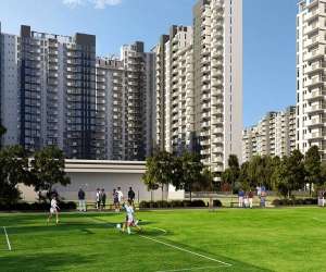 4 BHK  2734 Sqft Apartment for sale in  Ireo The Corridors in Sector 67
