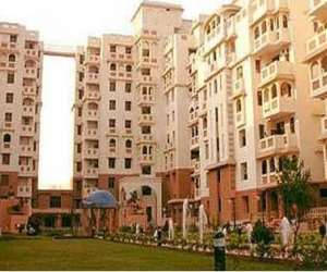 4 BHK  2500 Sqft Apartment for sale in  Sam Palm Grove Apartments in Sector 50