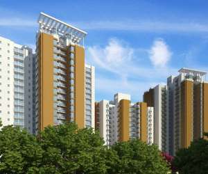 3 BHK  2415 Sqft Apartment for sale in  Jaypee Aman in Sector 151