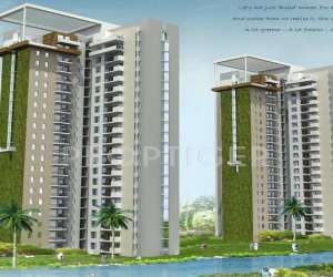 3 BHK  2350 Sqft Apartment for sale in  The 3C Lotus Panache Island in Sector 110