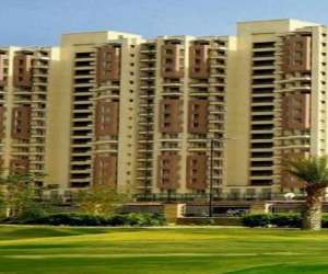2 BHK  464 Sqft Apartment for sale in  Supertech The Valley in Sector 78