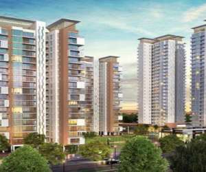 2 BHK  804 Sqft Apartment for sale in  Star Ace Starlit in Sector 152