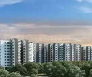 2 BHK  750 Sqft Apartment for sale in  The Greens Maple in Attibele
