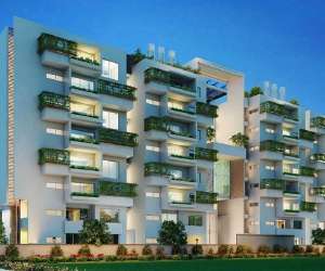 3 BHK  1675 Sqft Apartment for sale in  The Formist Treehouse in Thanisandra