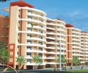 1 BHK  629 Sqft Apartment for sale in  Ansals Tanushree in NH 24 Highway