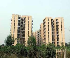 3 BHK  1238 Sqft Apartment for sale in  GPM Developers Bloosom Greens in Sector 63