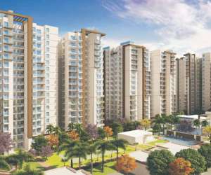3 BHK  1525 Sqft Apartment for sale in  MGH Mulberry County in Sector 70