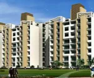 3 BHK  1798 Sqft Apartment for sale in  Ansal API Ansal Olive in Sector 115