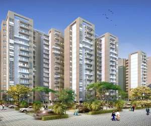 3 BHK  1369 Sqft Apartment for sale in  Wave Residency in Sector 99