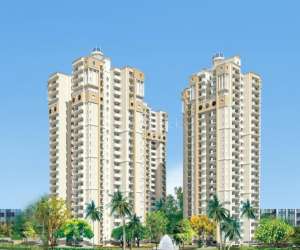 3 BHK  1750 Sqft Apartment for sale in  Supertech Emperor in Sector 93 A