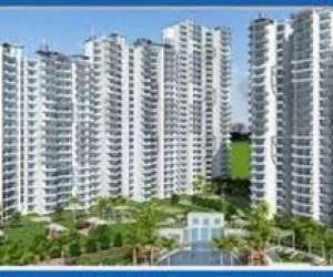 1 BHK  450 Sqft Apartment for sale in  SS Buildcon Shri Ram Vatika in Dadri