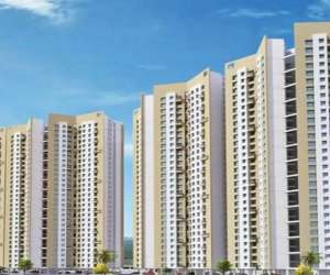 3 BHK  746 Sqft Apartment for sale in  Godrej Ascend Phase 1 in Naigaon East