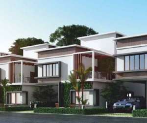 3 BHK  2590 Sqft Villas for sale in  Citrus Earth in Doddaballapur Road