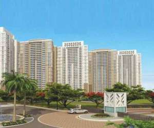 4 BHK  3956 Sqft Apartment for sale in  DLF Arbour 2 in Sector 63