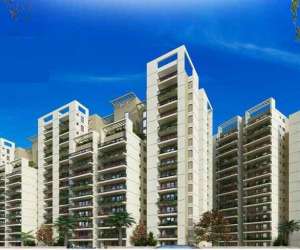 3 BHK  643 Sqft Apartment for sale in  ROF Amaltas in New Gurgaon Sector 92
