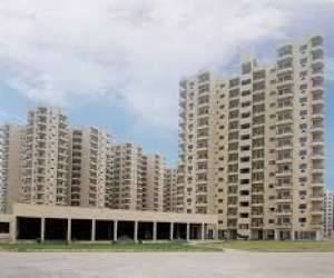 3 BHK  1325 Sqft Apartment for sale in  Ardee Platinum Greens in Sector - 45