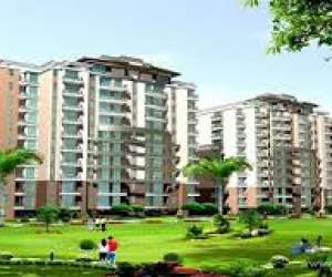 4 BHK  2493 Sqft Apartment for sale in  JMD Samanvay in Sector 91