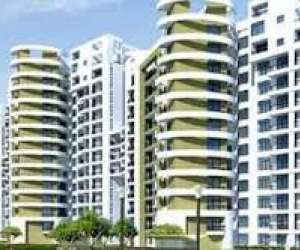 2 BHK  500 Sqft Apartment for sale in  KW Daffodil in Sohna