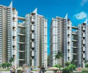 3 BHK  1720 Sqft Apartment for sale in  Paras Trends Heights in Sector 70A