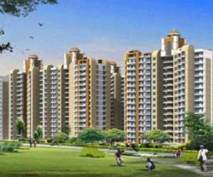 3 BHK  1325 Sqft Apartment for sale in  JM AROMA in Sector 75