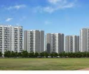 3 BHK  1762 Sqft Apartment for sale in  JM Orchid in Sector 76