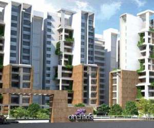 3 BHK  2050 Sqft Apartment for sale in  Prisha Orchids in Thanisandra Main Road