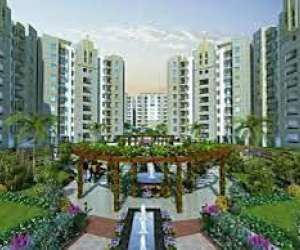 1 BHK  650 Sqft Apartment for sale in  VSR 85 Avenue Residential in New Gurgaon