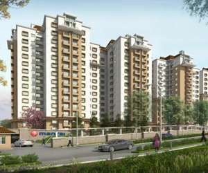 3 BHK  2485 Sqft Apartment for sale in  Mantri Blossom in Lalbagh Road