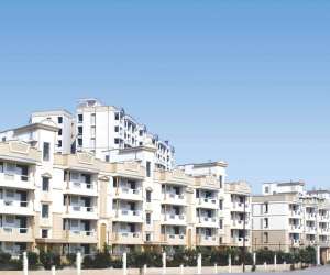 2 BHK  1250 Sqft Apartment for sale in  Ashiana Orchid in Gamma II